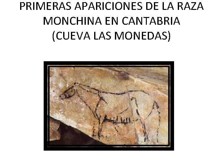 PRIMERAS APARICIONES DE LA RAZA MONCHINA EN CANTABRIA (CUEVA LAS MONEDAS) 