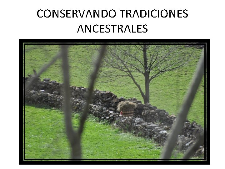 CONSERVANDO TRADICIONES ANCESTRALES 