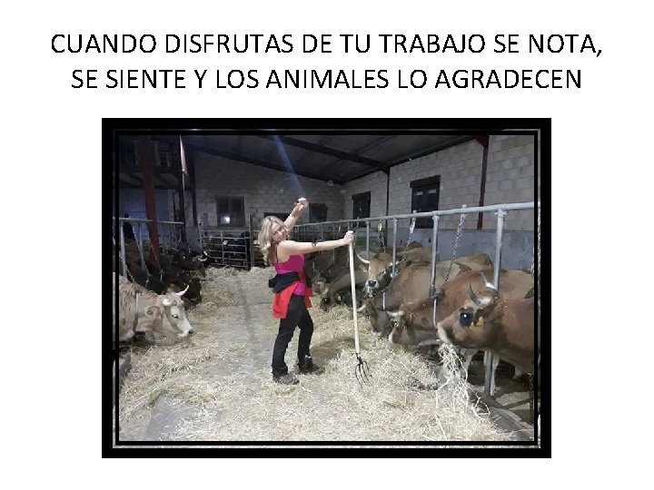 CUANDO DISFRUTAS DE TU TRABAJO SE NOTA, SE SIENTE Y LOS ANIMALES LO AGRADECEN