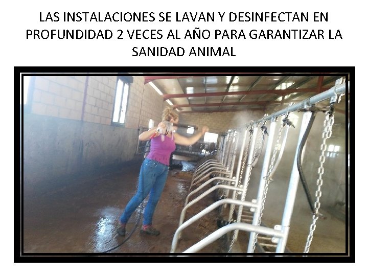 LAS INSTALACIONES SE LAVAN Y DESINFECTAN EN PROFUNDIDAD 2 VECES AL AÑO PARA GARANTIZAR