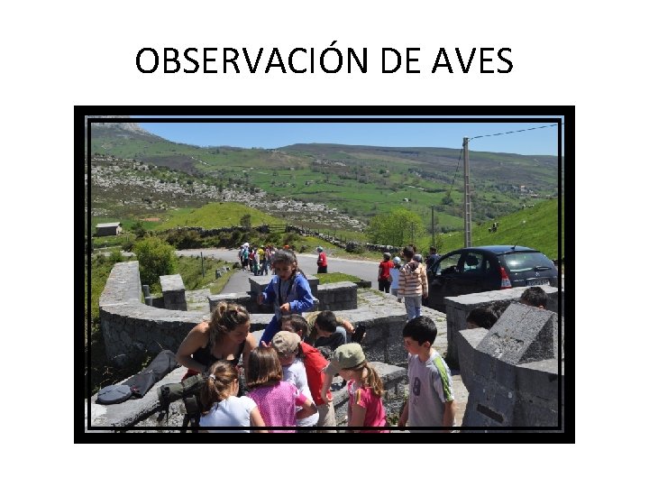 OBSERVACIÓN DE AVES 