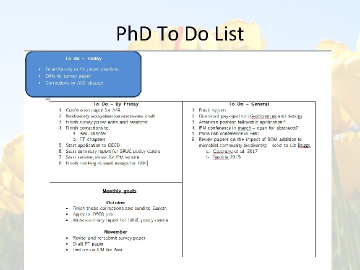 Ph. D To Do List 