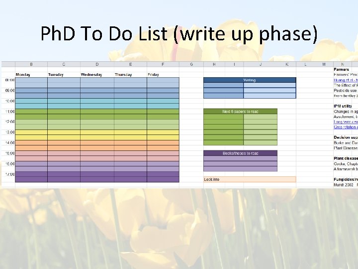 Ph. D To Do List (write up phase) 