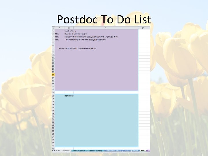 Postdoc To Do List 