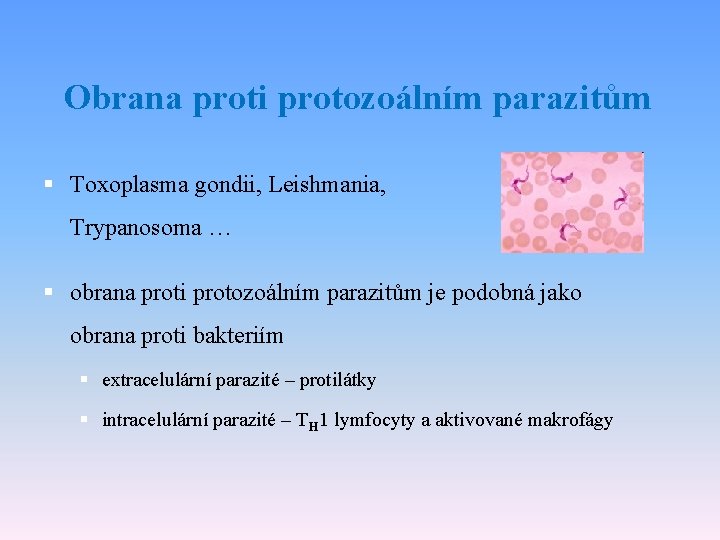 Obrana proti protozoálním parazitům § Toxoplasma gondii, Leishmania, Trypanosoma … § obrana proti protozoálním