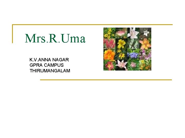 Mrs. R. Uma K. V. ANNA NAGAR GPRA CAMPUS THIRUMANGALAM 
