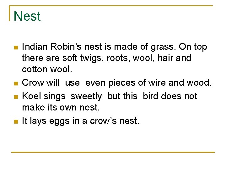 Nest n n Indian Robin’s nest is made of grass. On top there are