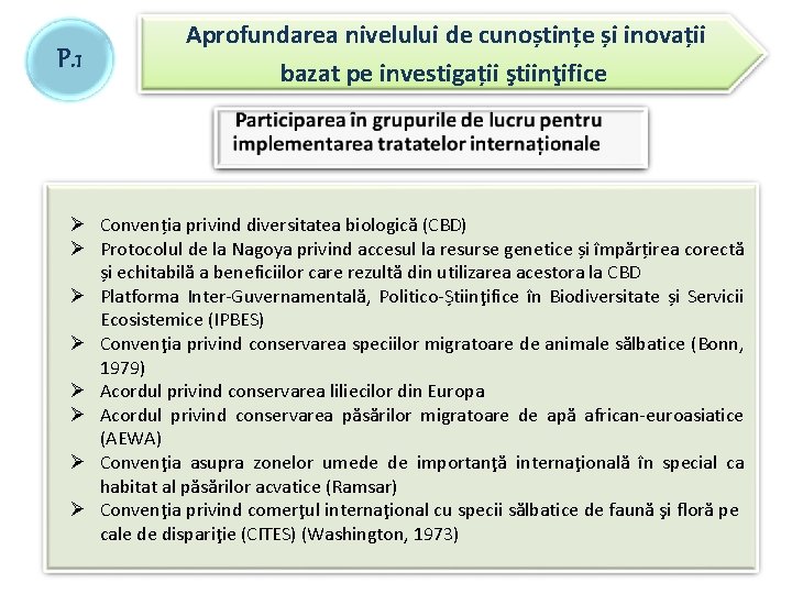 P. 1 Aprofundarea nivelului de cunoștințe și inovații bazat pe investigații ştiinţifice Ø Convenția P. 1 Aprofundarea nivelului de cunoștințe și inovații bazat pe investigații ştiinţifice Ø Convenția
