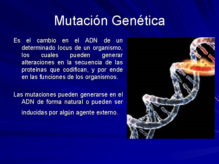 Mutación Genética Es el cambio en el ADN de un determinado locus de un