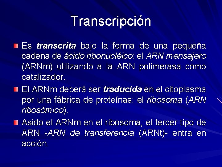 Transcripción Es transcrita bajo la forma de una pequeña cadena de ácido ribonucléico: el