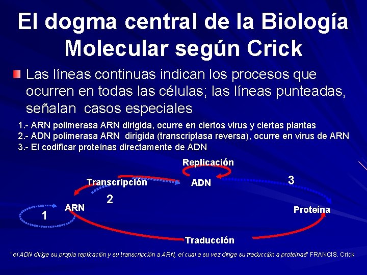 El dogma central de la Biología Molecular según Crick Las líneas continuas indican los