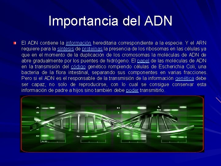 Importancia del ADN El ADN contiene la información hereditaria correspondiente a la especie. Y