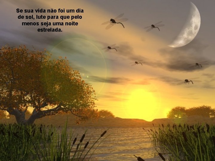 Se sua vida não foi um dia de sol, lute para que pelo menos