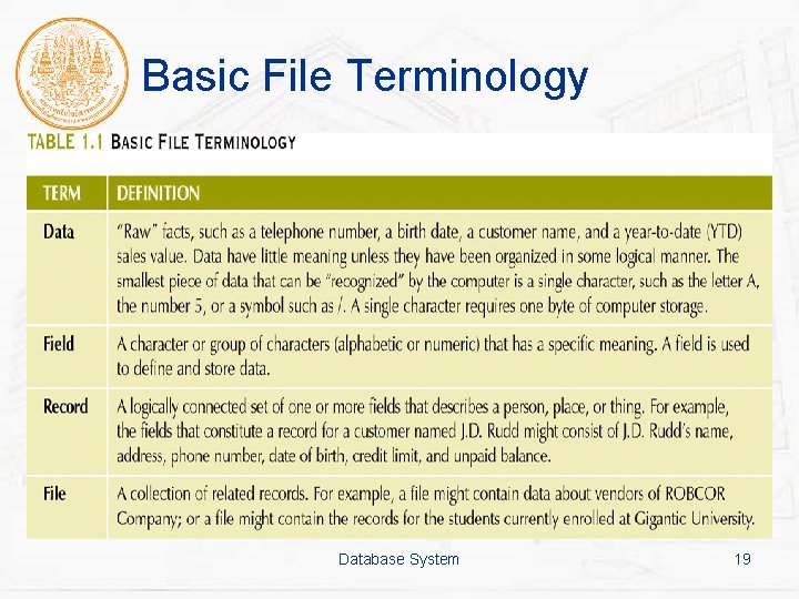 Basic File Terminology Database System 19 