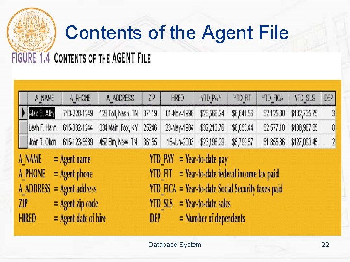 Contents of the Agent File Database System 22 