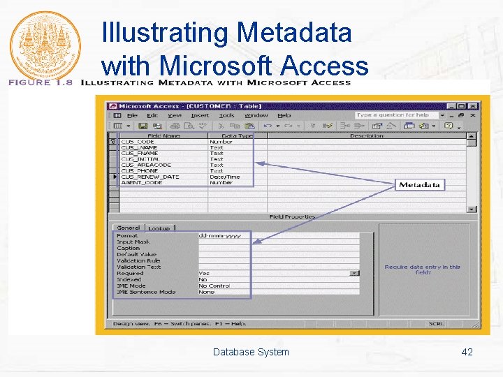 Illustrating Metadata with Microsoft Access Database System 42 