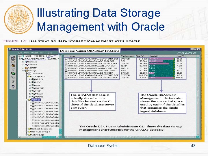 Illustrating Data Storage Management with Oracle Database System 43 