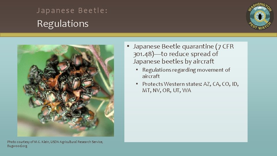 Japanese Beetle: Regulations ▪ Japanese Beetle quarantine (7 CFR 301. 48)—to reduce spread of