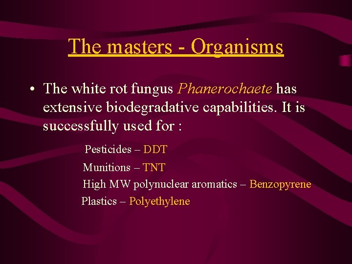 The masters - Organisms • The white rot fungus Phanerochaete has extensive biodegradative capabilities.