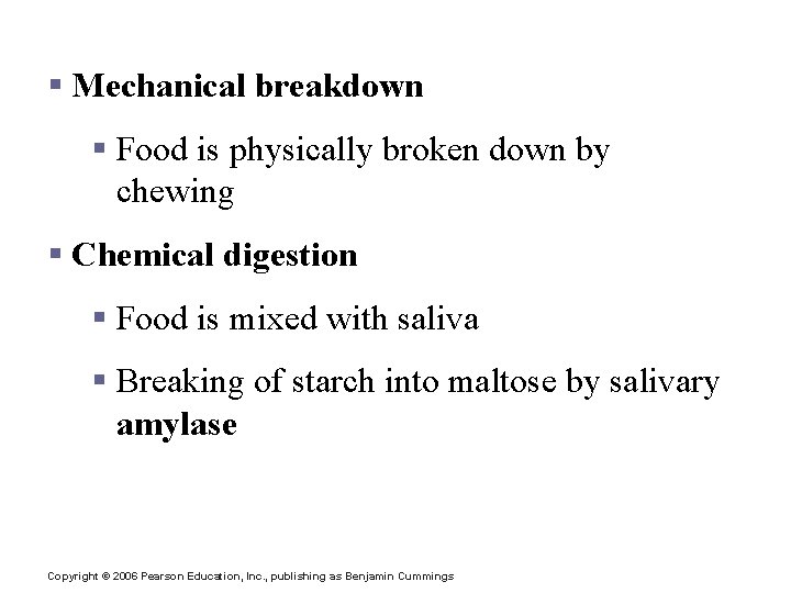 Digestive Activities of the Mouth § Mechanical breakdown § Food is physically broken down