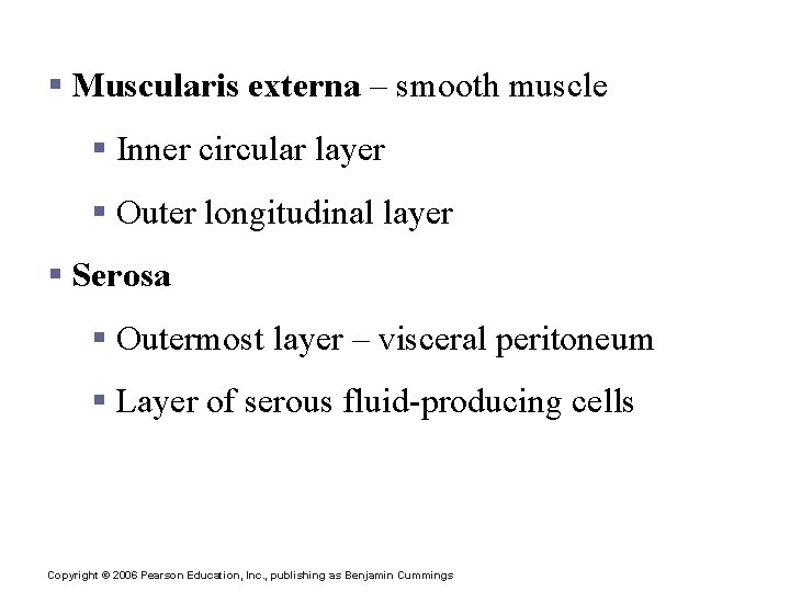 Layers of Alimentary Canal Organs § Muscularis externa – smooth muscle § Inner circular