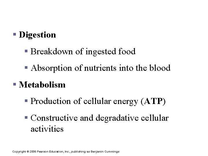 The Digestive System and Body Metabolism § Digestion § Breakdown of ingested food §