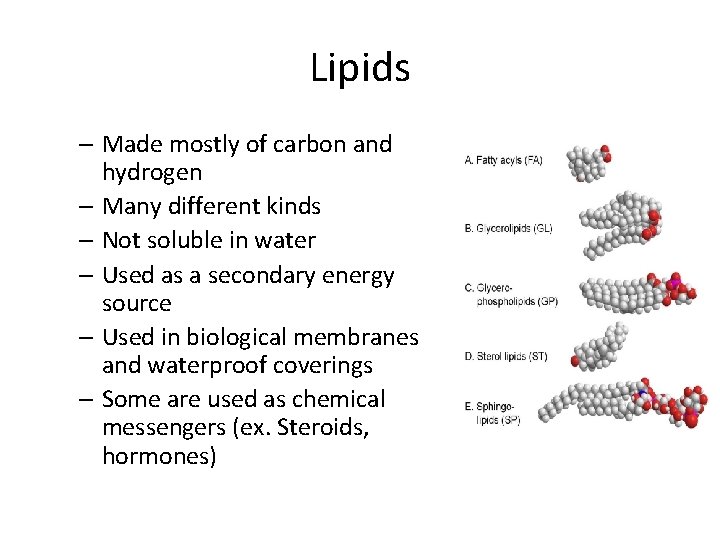 Lipids – Made mostly of carbon and hydrogen – Many different kinds – Not