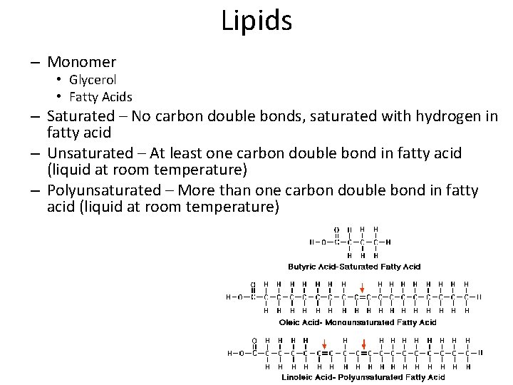 Lipids – Monomer • Glycerol • Fatty Acids – Saturated – No carbon double