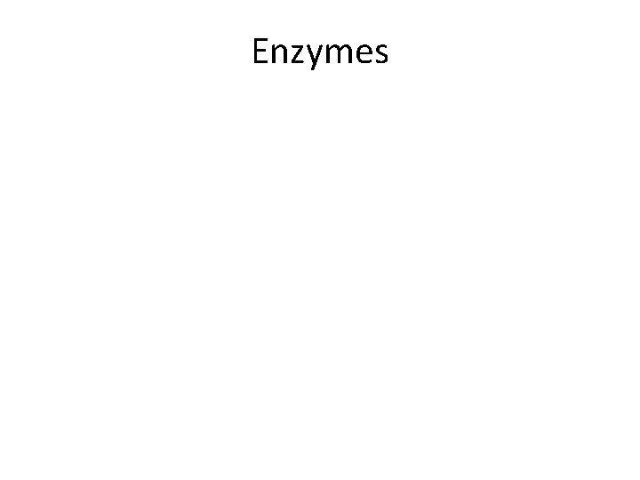 Enzymes 