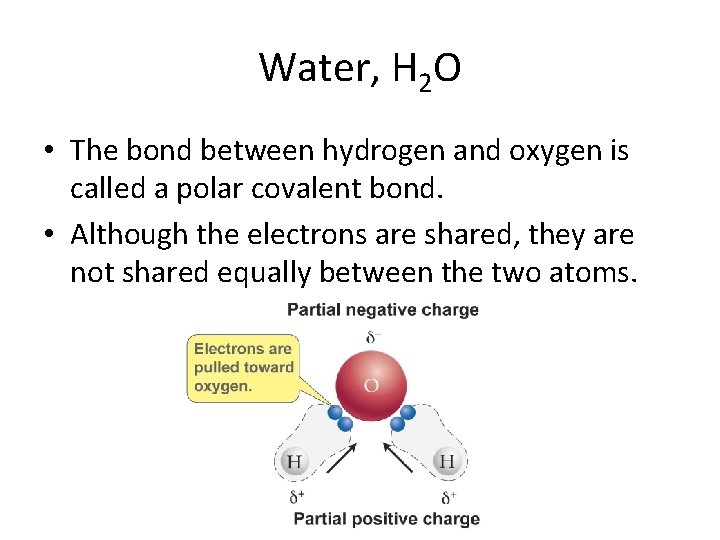Water, H 2 O • The bond between hydrogen and oxygen is called a