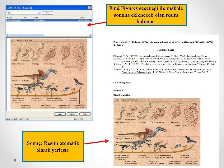 Find Figures seçeneği ile makale sonuna eklenecek olan resim bulunur. Sonuç: Resim otomatik olarak