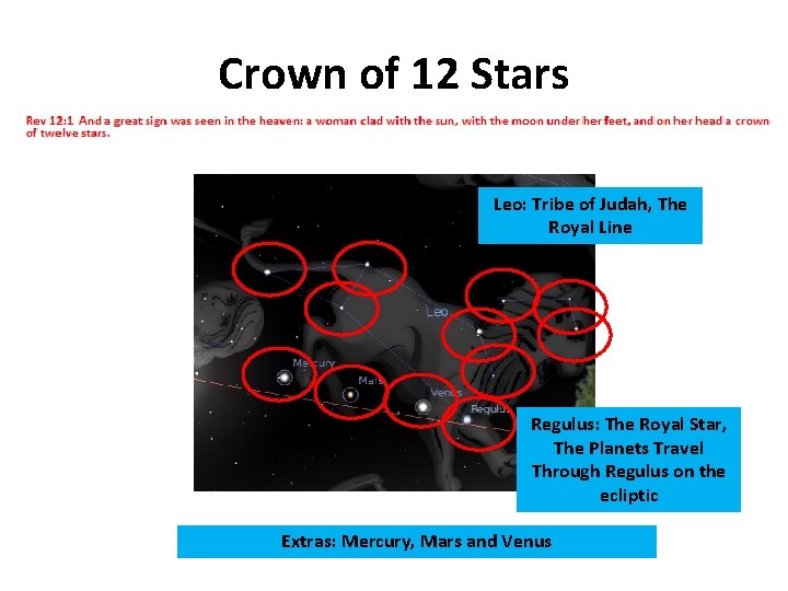 Crown of 12 Stars Leo: Tribe of Judah, The Royal Line Regulus: The Royal