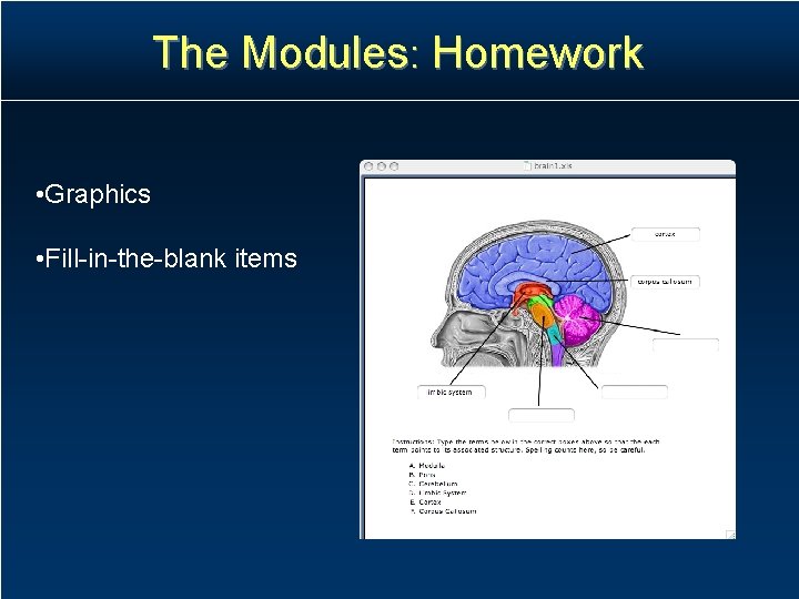 The Modules: Homework • Graphics • Fill-in-the-blank items The Modules: Homework • Graphics • Fill-in-the-blank items