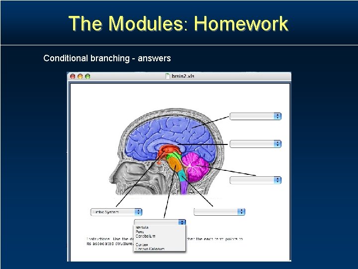 The Modules: Homework Conditional branching - answers The Modules: Homework Conditional branching - answers