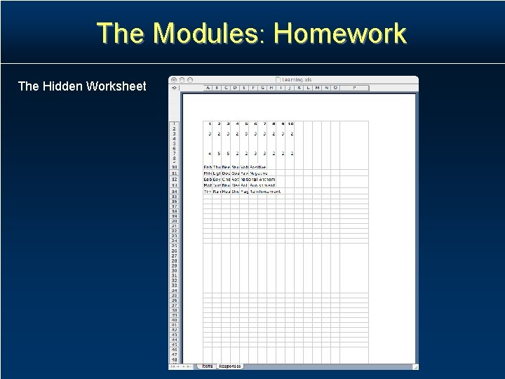 The Modules: Homework The Hidden Worksheet The Modules: Homework The Hidden Worksheet