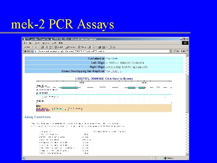 mek-2 PCR Assays 