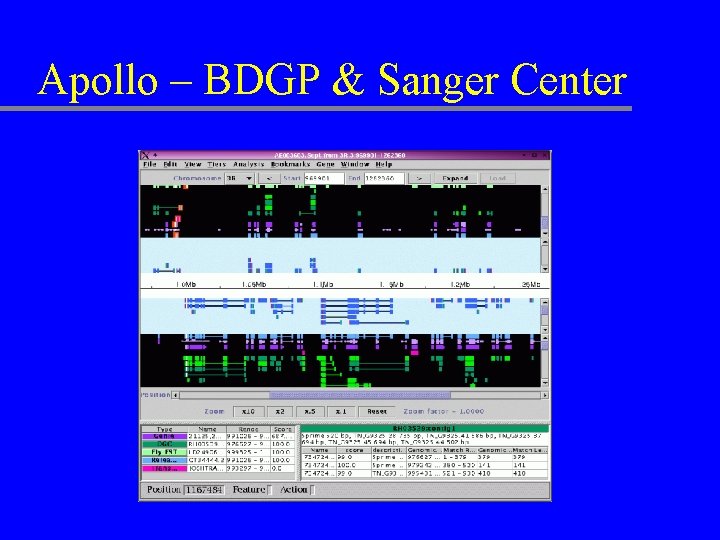 Apollo – BDGP & Sanger Center 