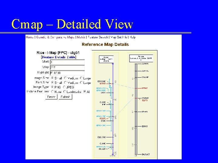 Cmap – Detailed View 