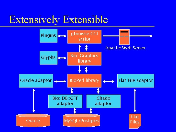 Extensively Extensible Plugins gbrowse CGI script Apache Web Server Glyphs Oracle adaptor Bio: :