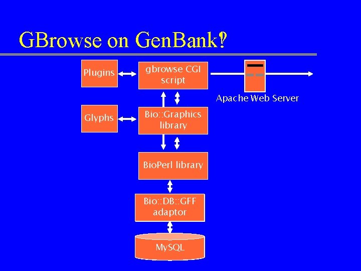 GBrowse on Gen. Bank! Gen. Bank? Plugins gbrowse CGI script Apache Web Server Glyphs