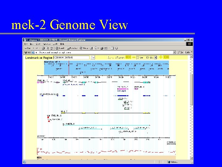 mek-2 Genome View 