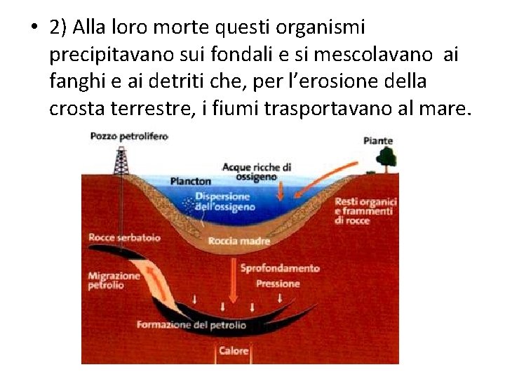  • 2) Alla loro morte questi organismi precipitavano sui fondali e si mescolavano