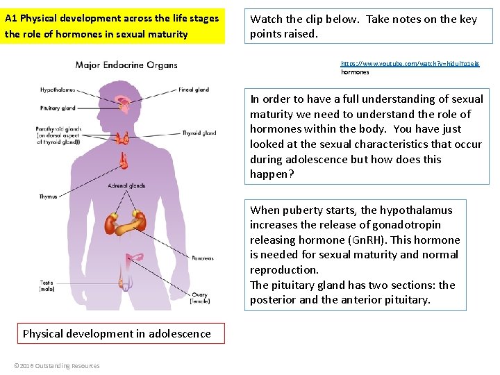 A 1 Physical development across the life stages the role of hormones in sexual