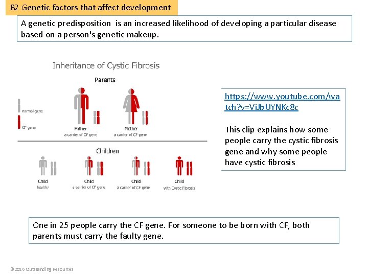 B 2 Genetic factors that affect development A genetic predisposition is an increased likelihood