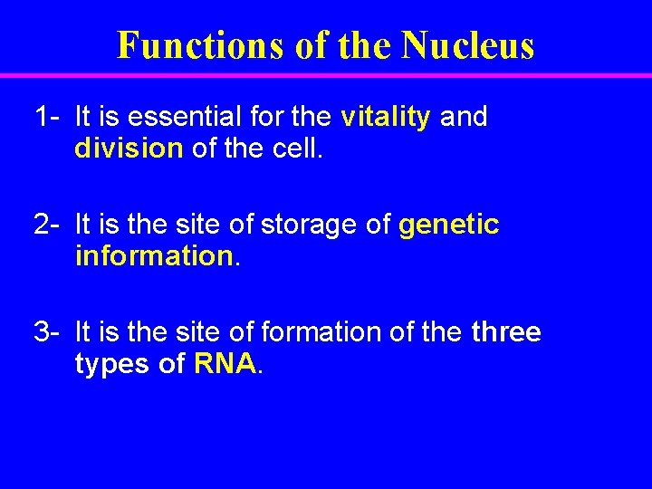 Functions of the Nucleus 1 - It is essential for the vitality and division