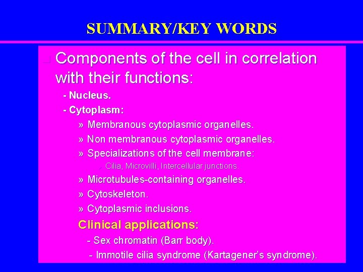 SUMMARY/KEY WORDS n Components of the cell in correlation with their functions: - Nucleus.
