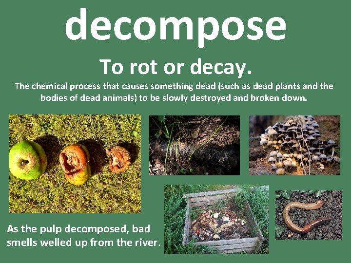 decompose To rot or decay. The chemical process that causes something dead (such as