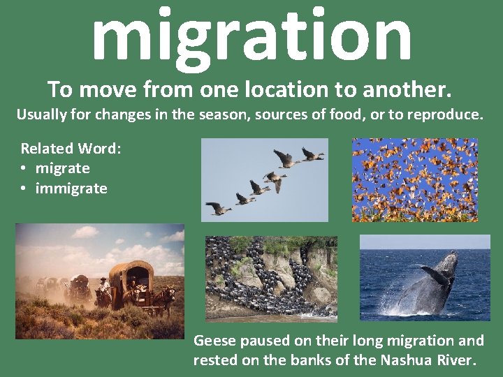 migration To move from one location to another. Usually for changes in the season,