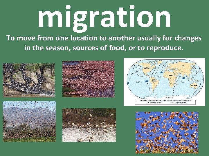 migration To move from one location to another usually for changes in the season,