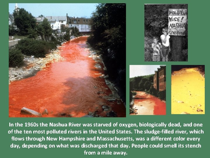 In the 1960 s the Nashua River was starved of oxygen, biologically dead, and